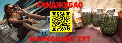 индика Можга
